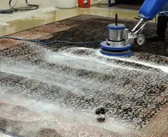Professional rug cleaning with a rotary floor machine and shampoo foam, deep-cleaning an area rug, in Columbia, MO.