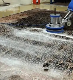 Professional rug cleaning with a rotary floor machine and shampoo foam, deep-cleaning an area rug Columbia, MO.